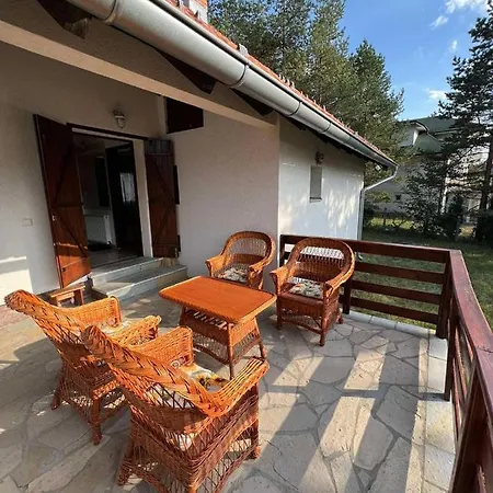 Valentina Vikendica *