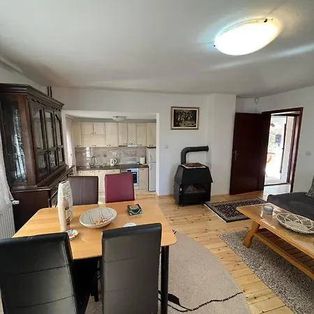 Valentina Vikendica *