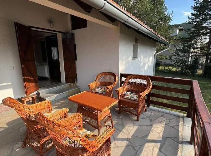 Valentina Vikendica *