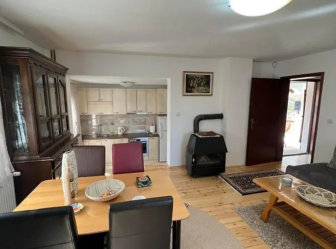 Valentina Vikendica *